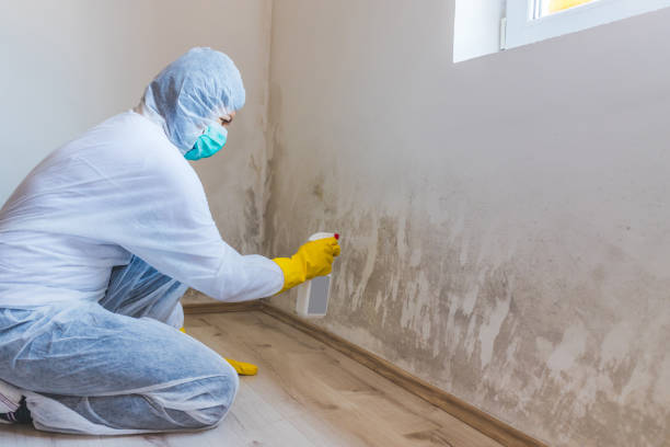 Hvac And Air Duct Mold Remediation inspection of HVAC system in Miami Gardens